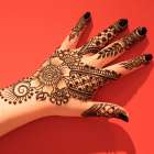 USA, Washington State. Indian Mehendi celebration. Henna application and rituals. Art Print